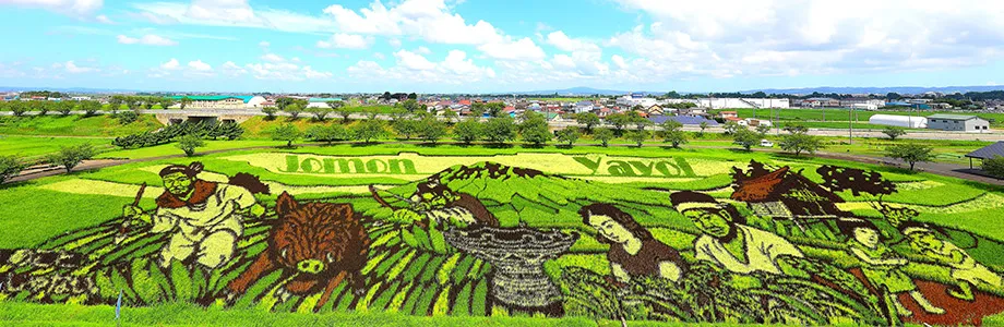 町おこしの取り組み事例【青森県田舎館村】田んぼアート 