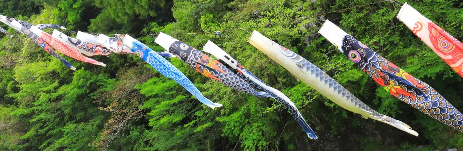町おこしの取り組み事例 【高知県伊野町】仁淀川紙のこいのぼり 